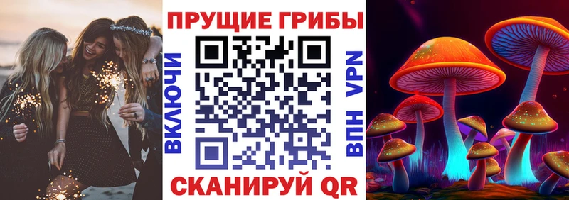 Галлюциногенные грибы прущие грибы  цена наркотик  Бодайбо 